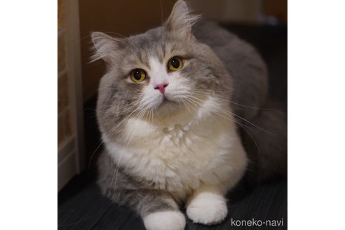 ちくわくん1枚目